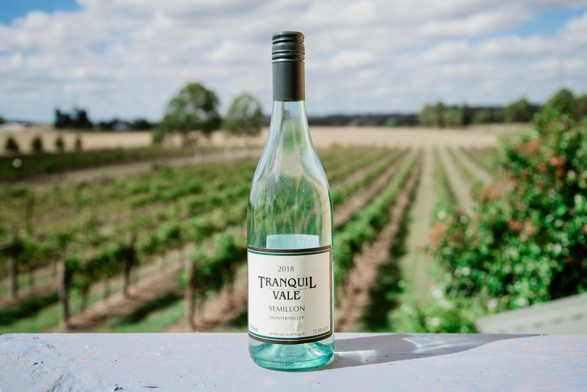 Tranquil Vale Vineyard Otel Luskintyre Dış mekan fotoğraf