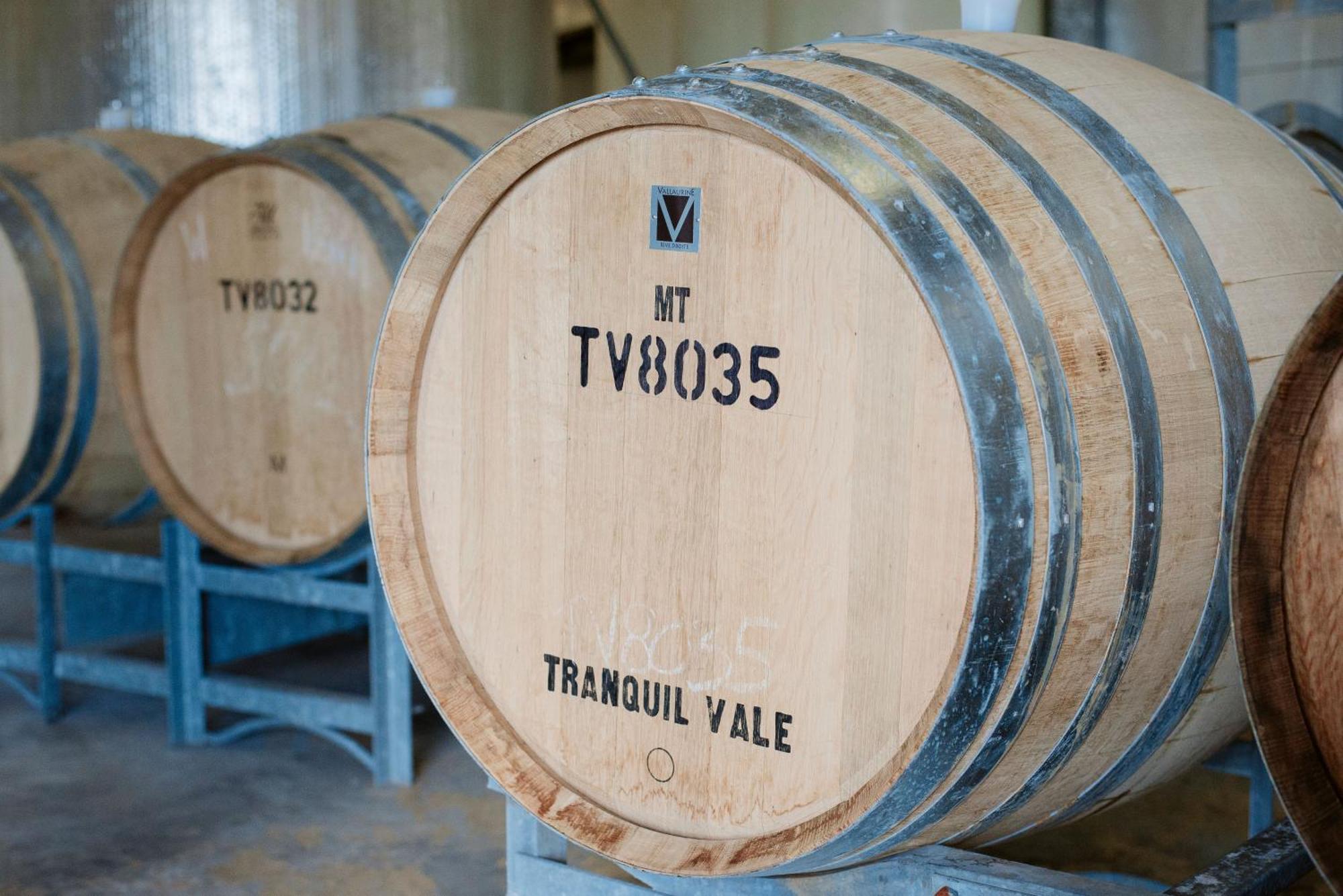 Tranquil Vale Vineyard Otel Luskintyre Dış mekan fotoğraf