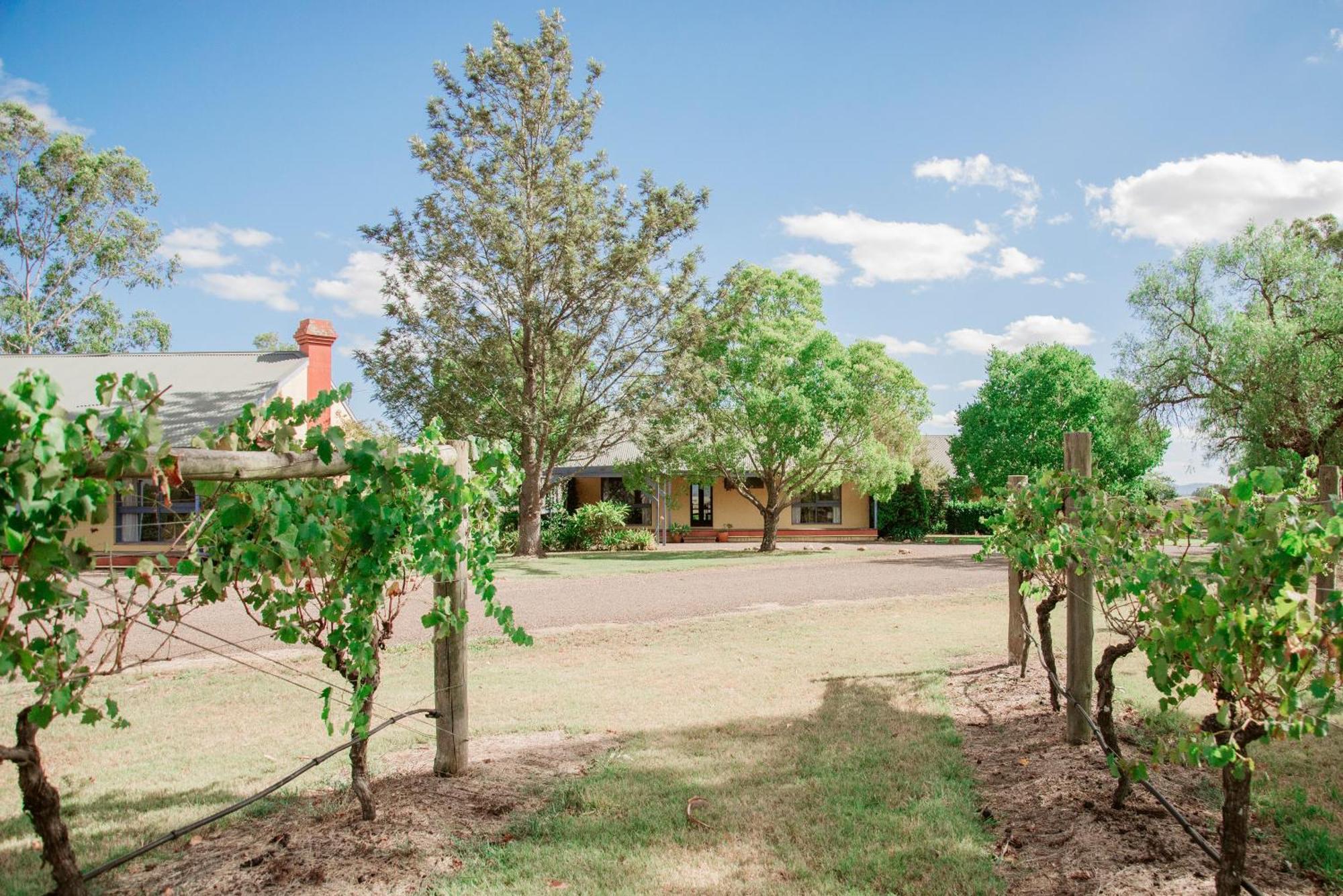 Tranquil Vale Vineyard Otel Luskintyre Dış mekan fotoğraf