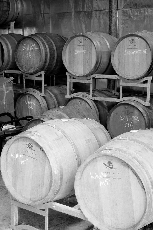 Tranquil Vale Vineyard Otel Luskintyre Dış mekan fotoğraf