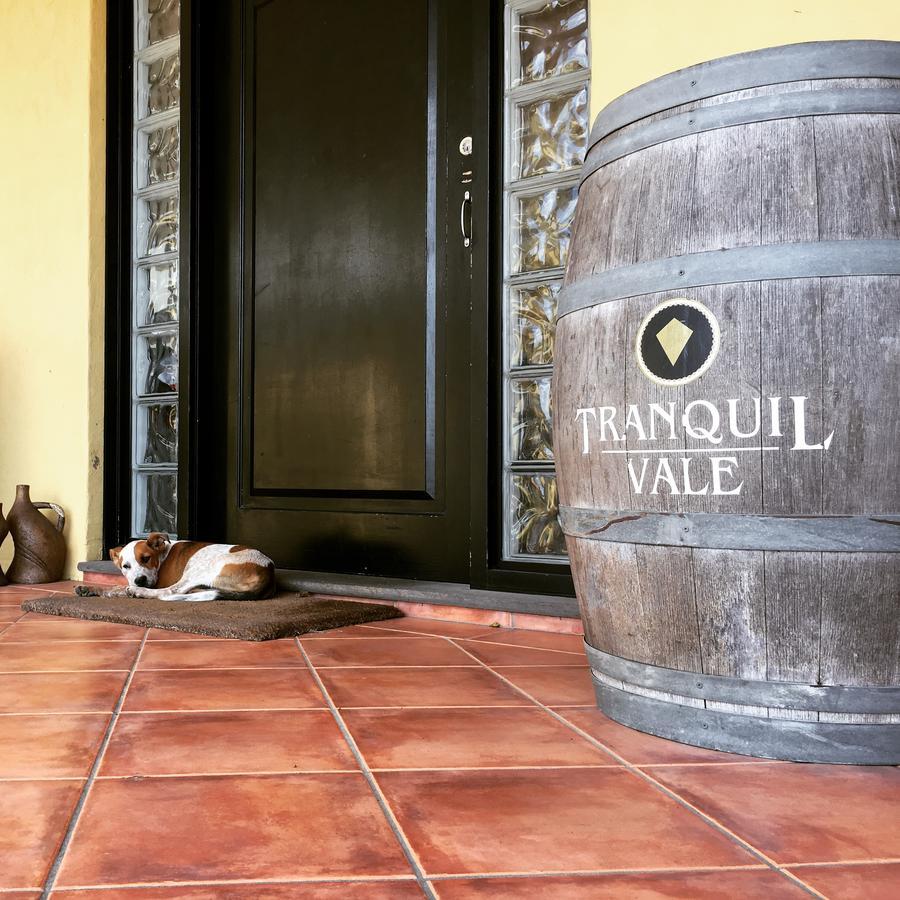 Tranquil Vale Vineyard Otel Luskintyre Dış mekan fotoğraf